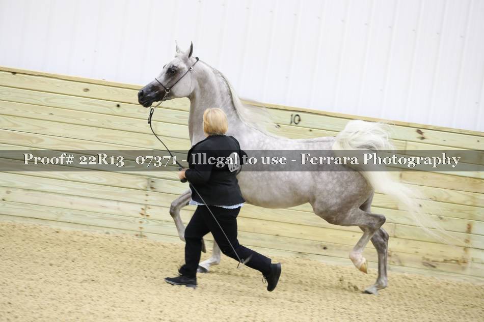 Proof 22R13_07371