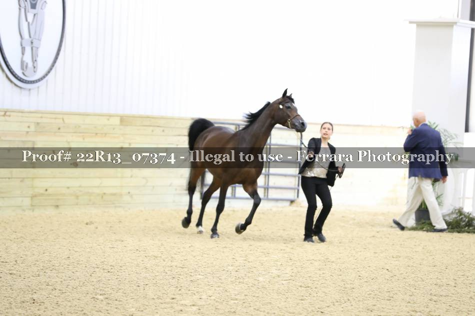 Proof 22R13_07374