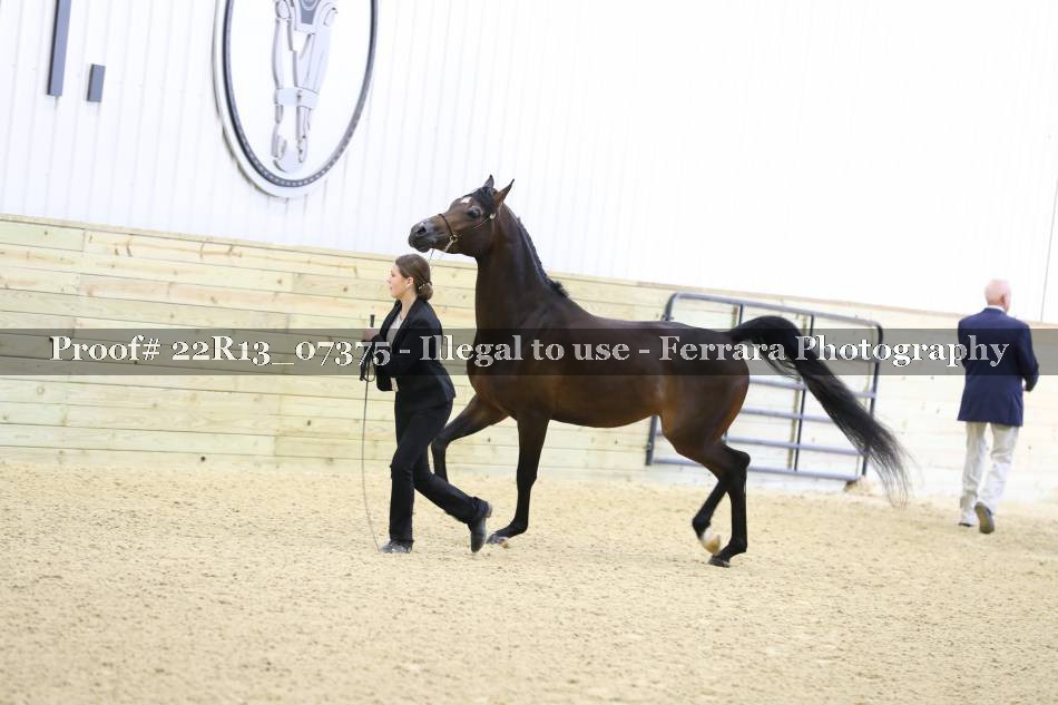 Proof 22R13_07375