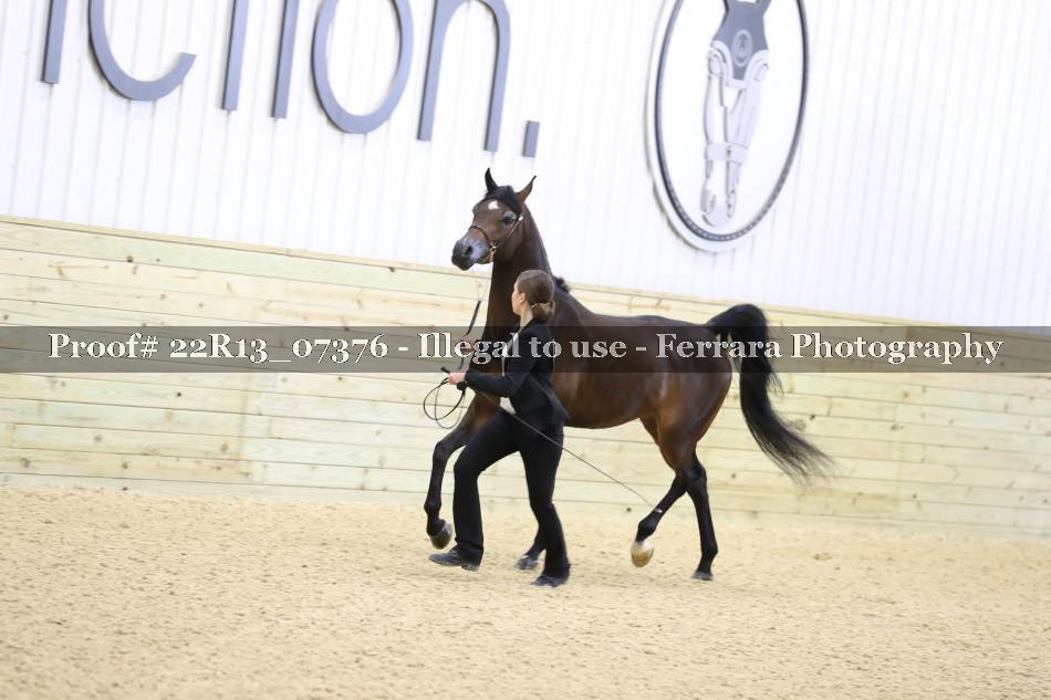 Proof 22R13_07376