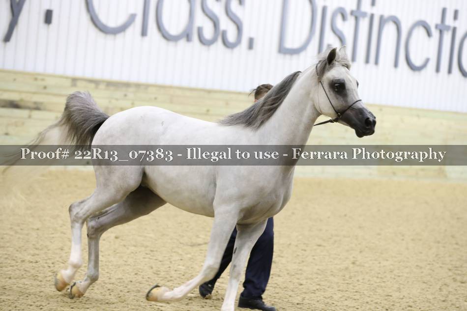 Proof 22R13_07383