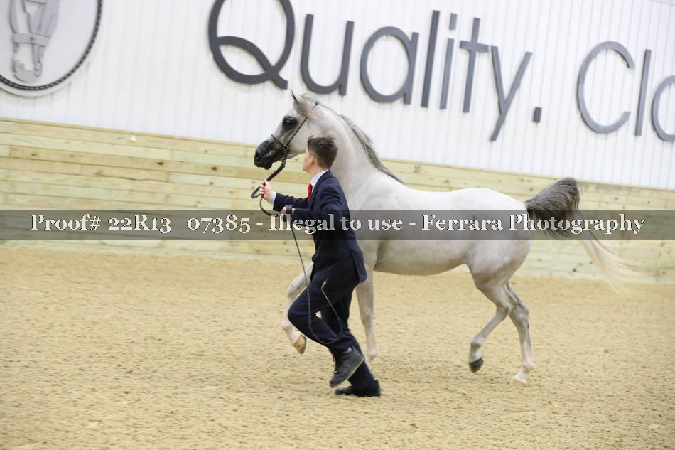 Proof 22R13_07385