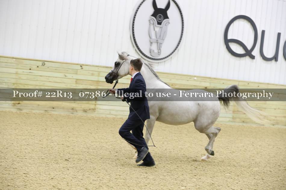 Proof 22R13_07386