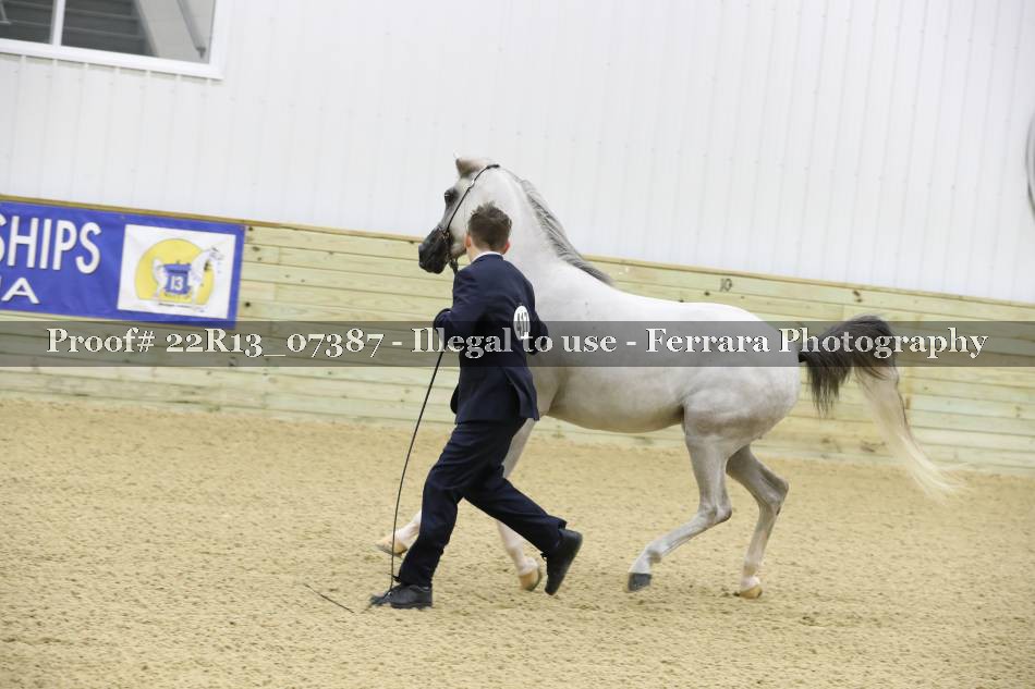 Proof 22R13_07387