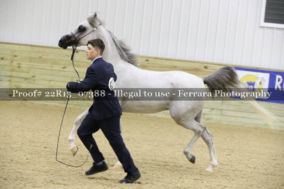 Proof 22R13_07388