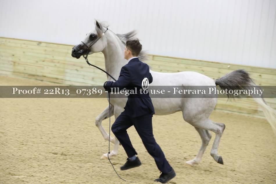 Proof 22R13_07389