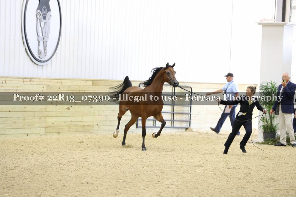 Proof 22R13_07390