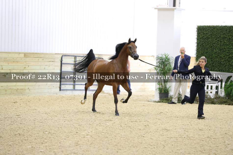 Proof 22R13_07391
