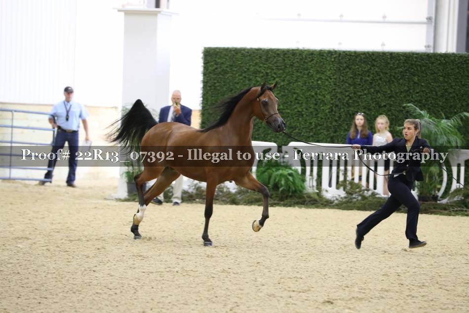 Proof 22R13_07392