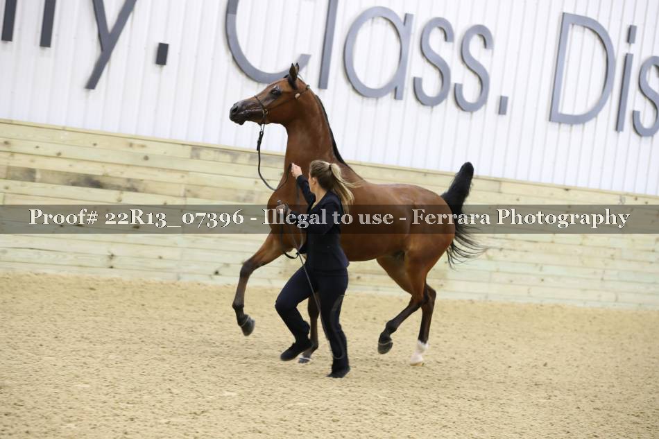 Proof 22R13_07396