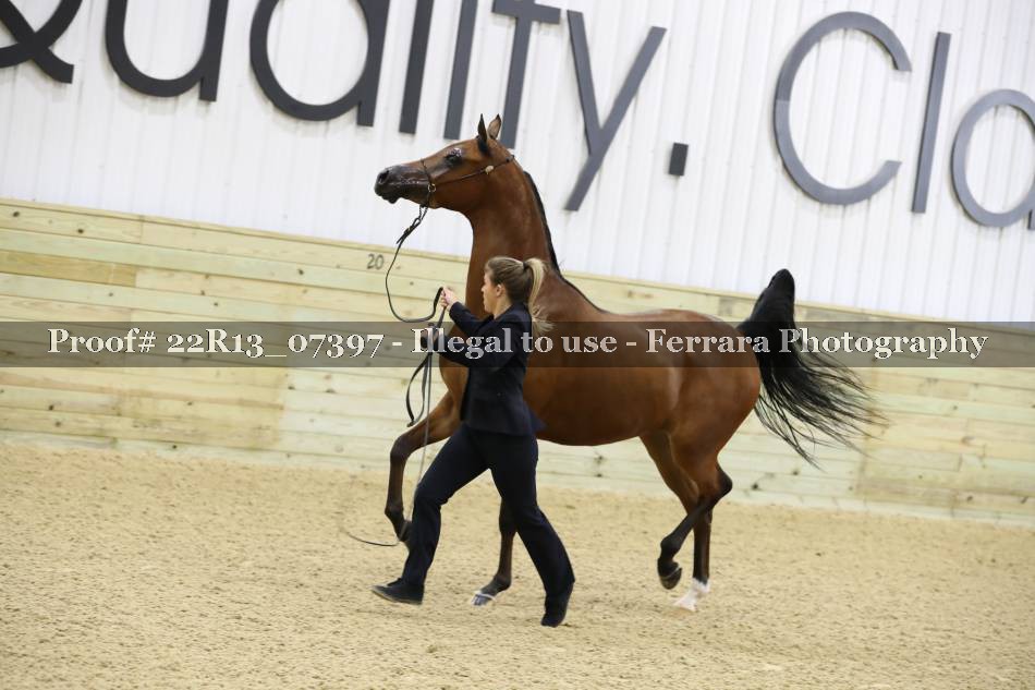 Proof 22R13_07397
