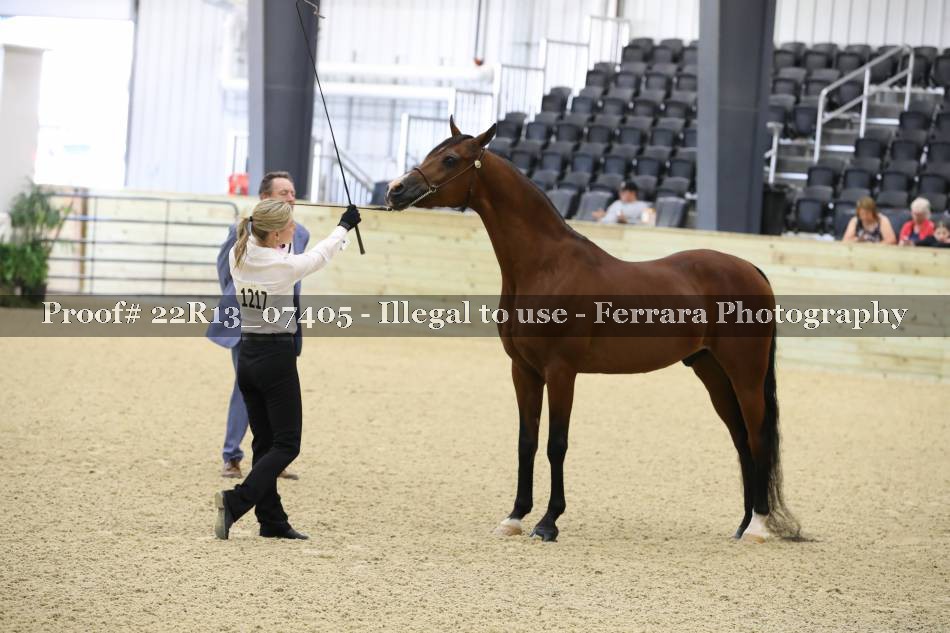 Proof 22R13_07405