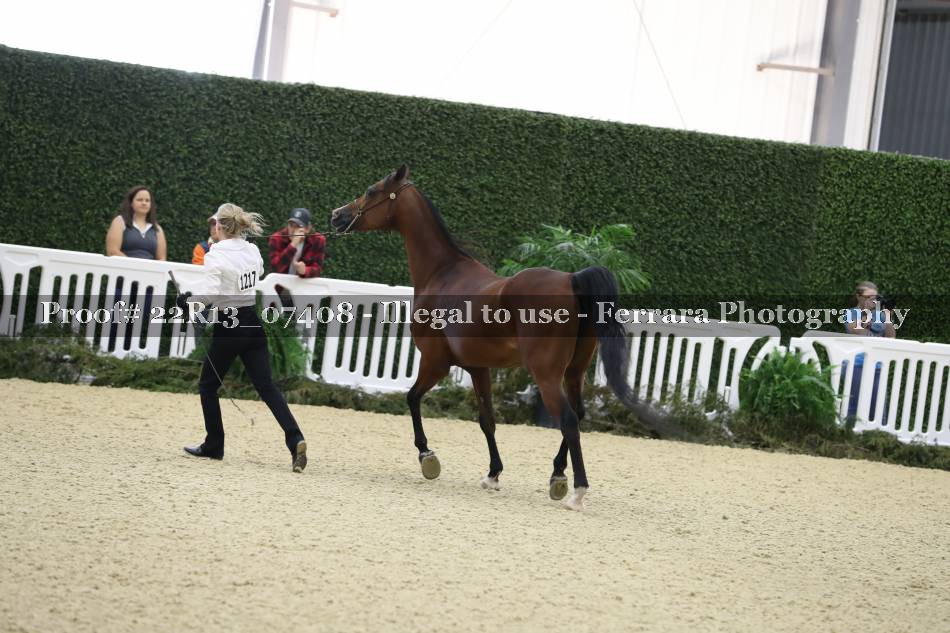 Proof 22R13_07408