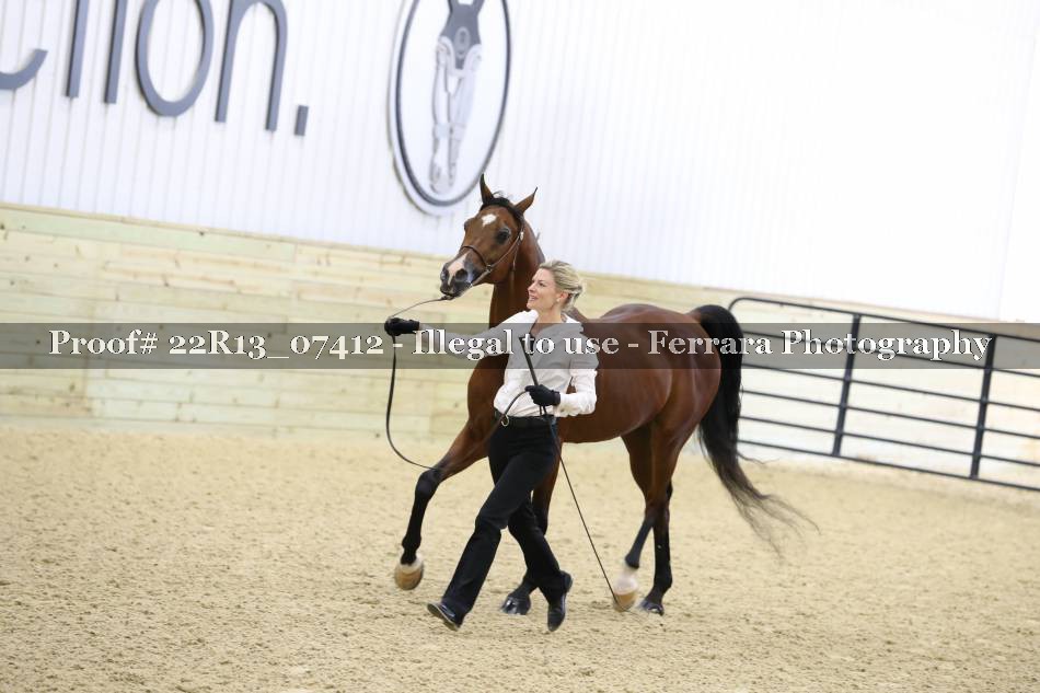 Proof 22R13_07412