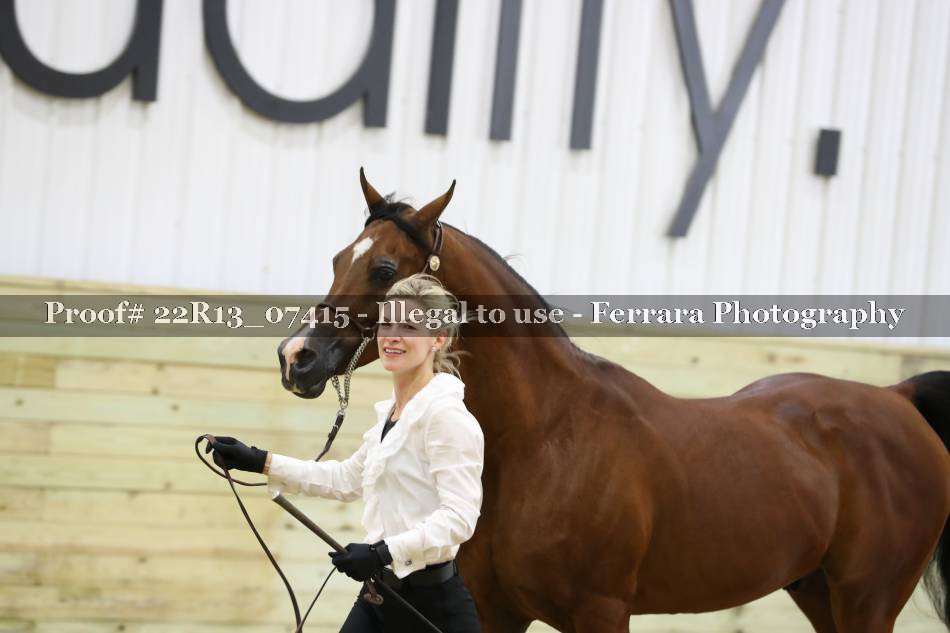Proof 22R13_07415
