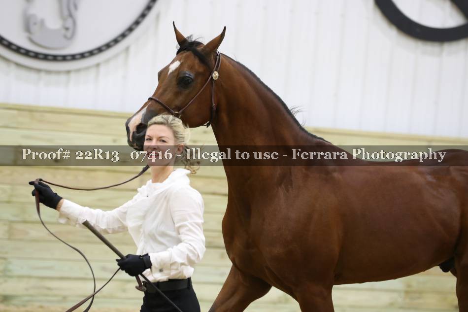 Proof 22R13_07416