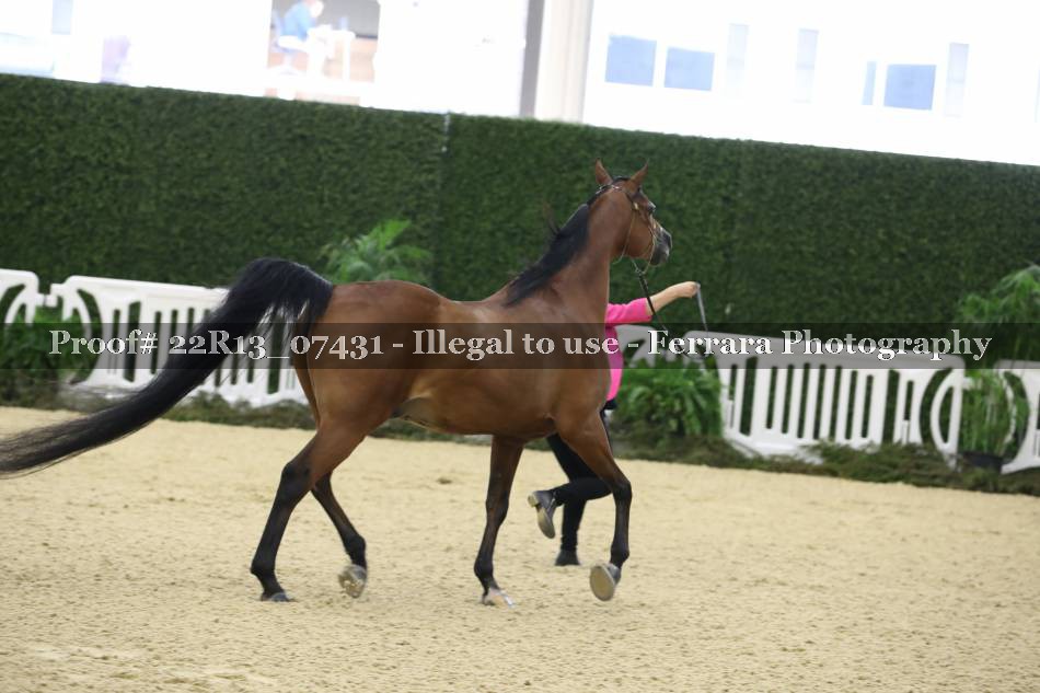 Proof 22R13_07431