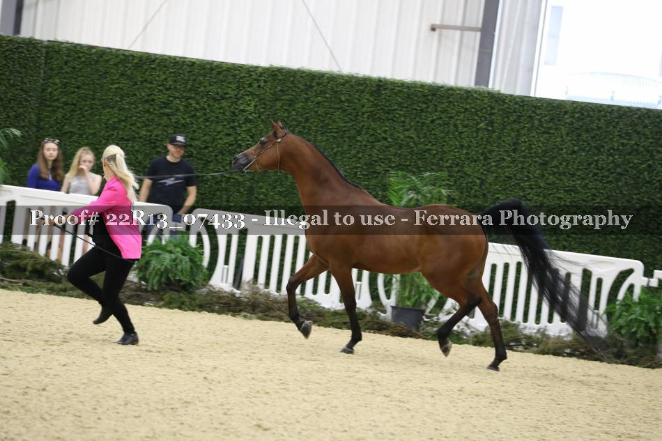 Proof 22R13_07433