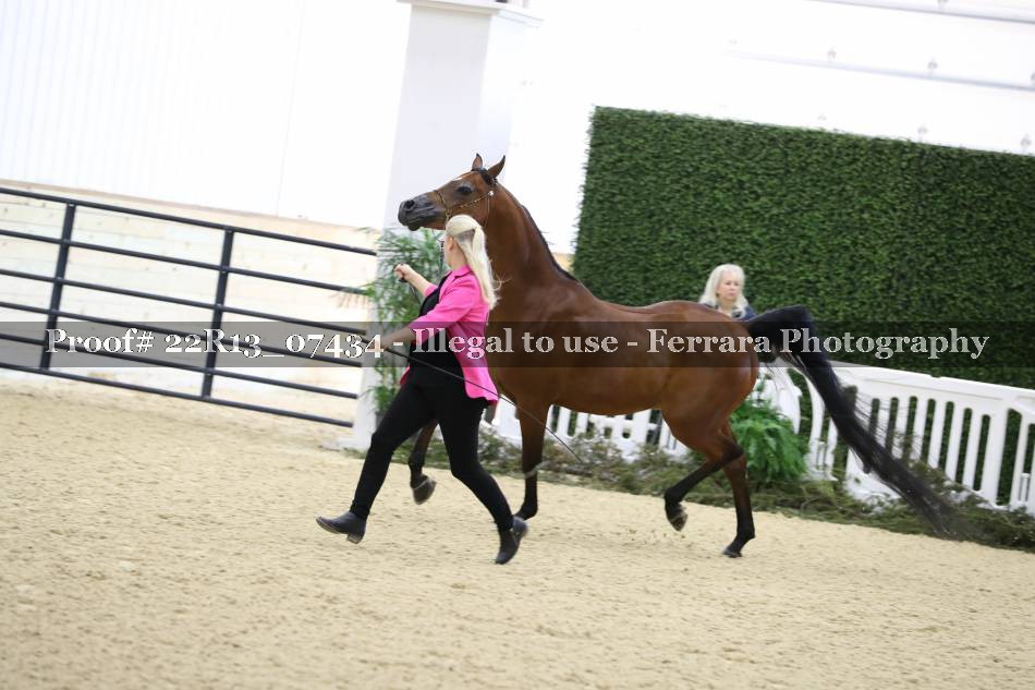 Proof 22R13_07434