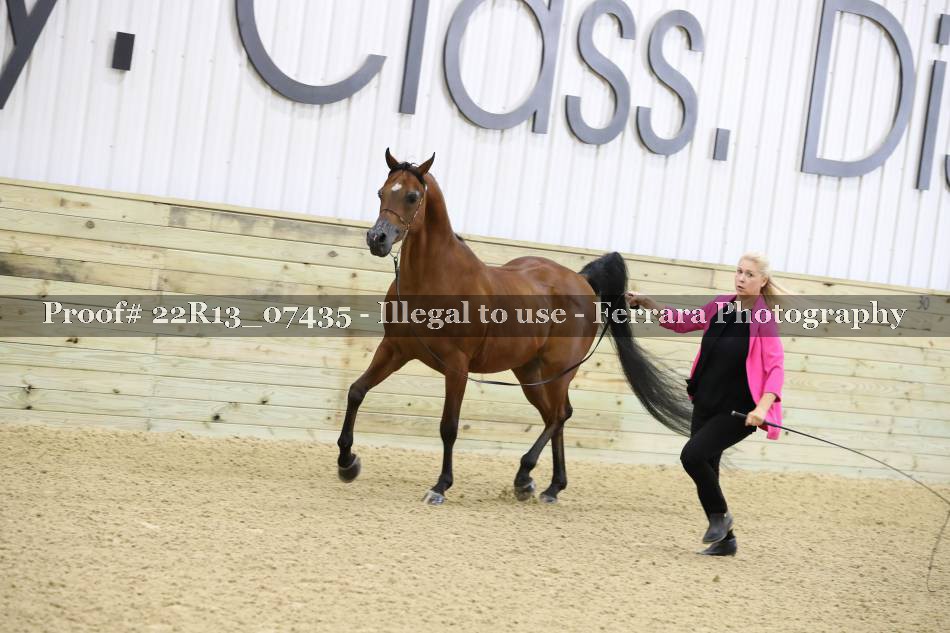 Proof 22R13_07435