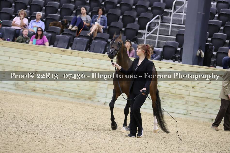Proof 22R13_07436