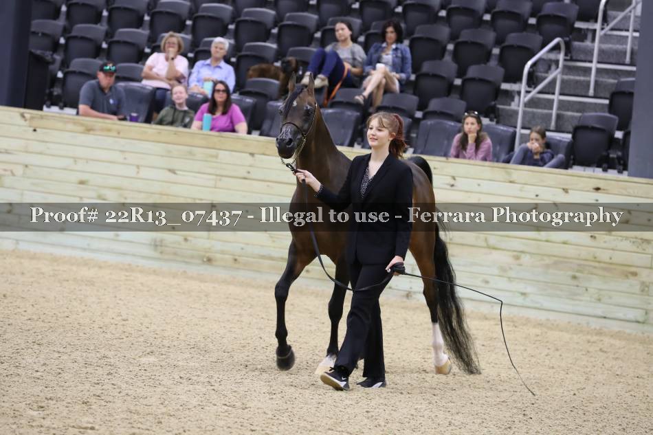 Proof 22R13_07437