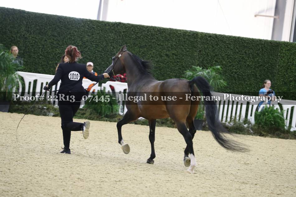 Proof 22R13_07445