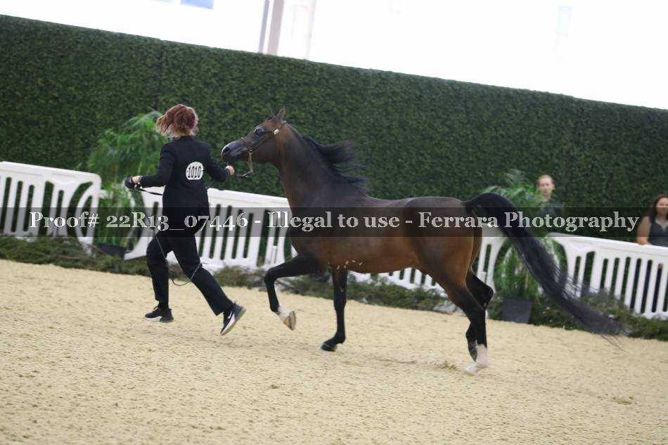 Proof 22R13_07446