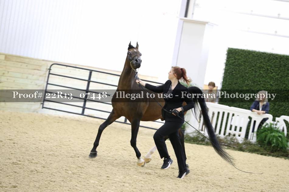 Proof 22R13_07448
