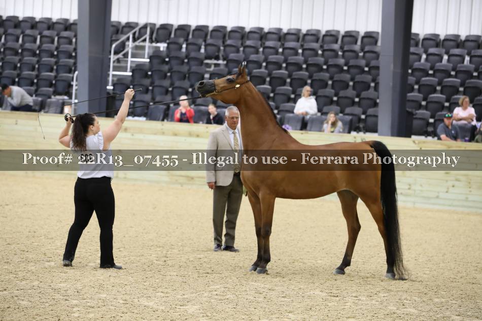 Proof 22R13_07455