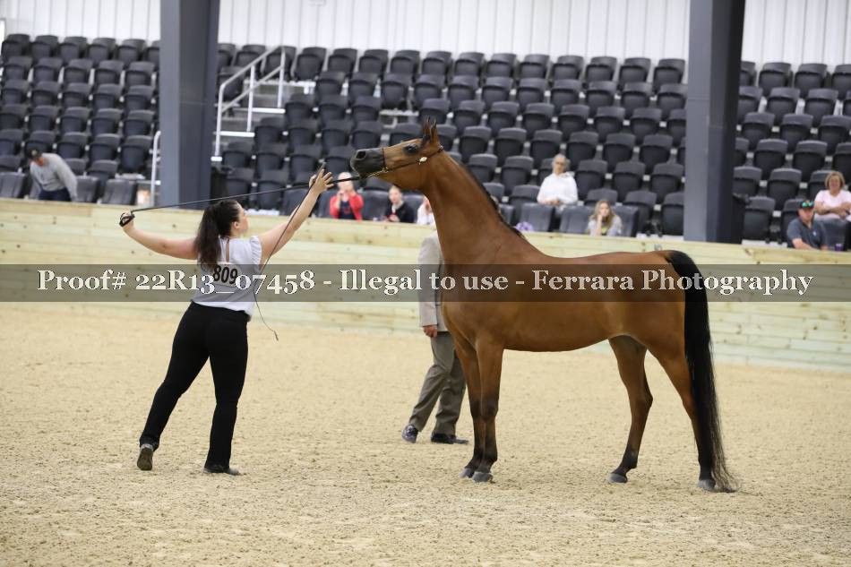 Proof 22R13_07458