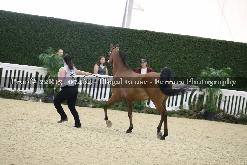 Proof 22R13_07464