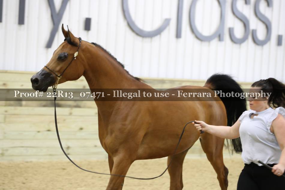Proof 22R13_07471