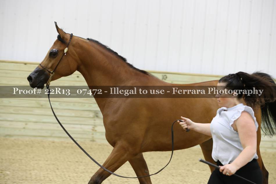 Proof 22R13_07472