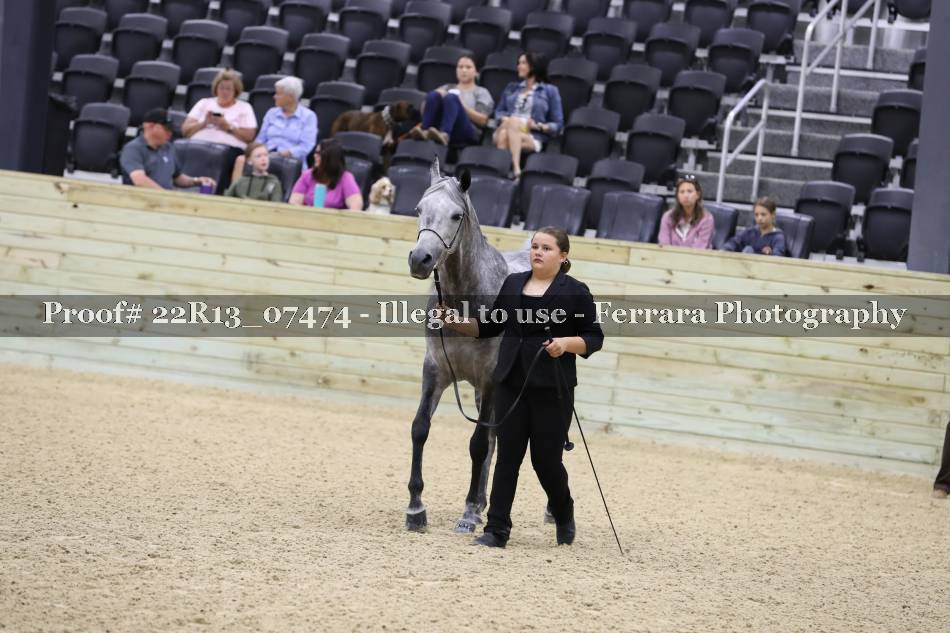 Proof 22R13_07474