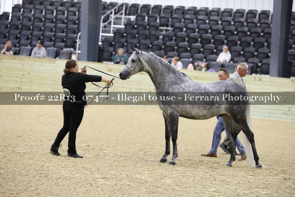 Proof 22R13_07477