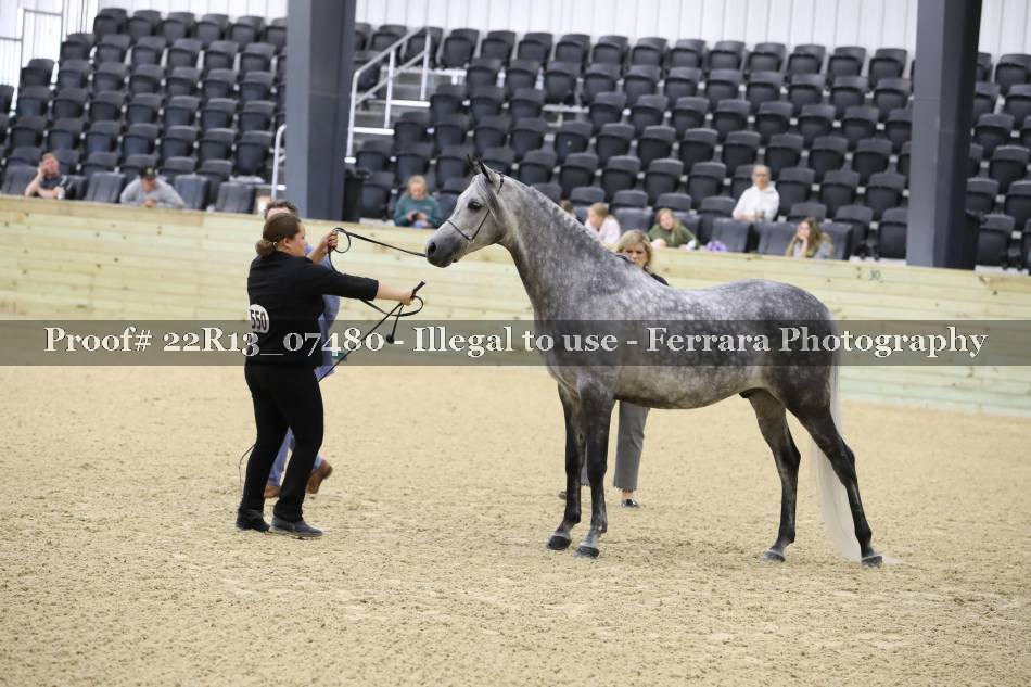 Proof 22R13_07480