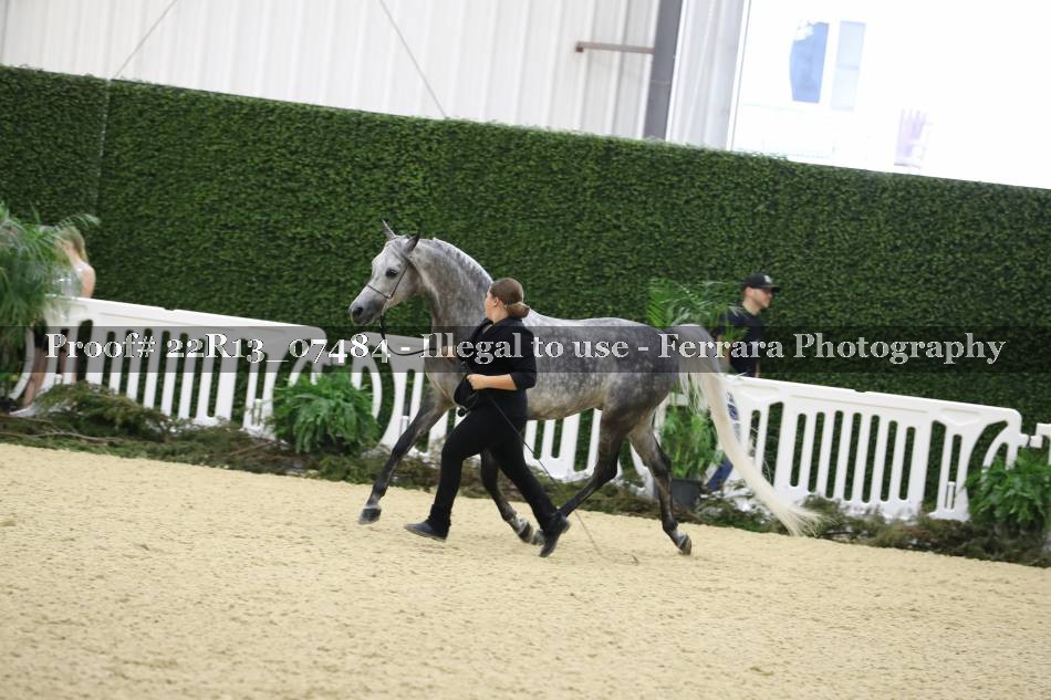 Proof 22R13_07484