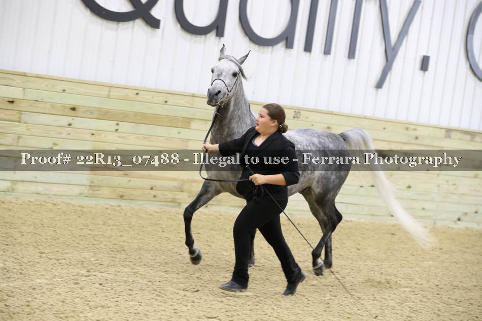 Proof 22R13_07488