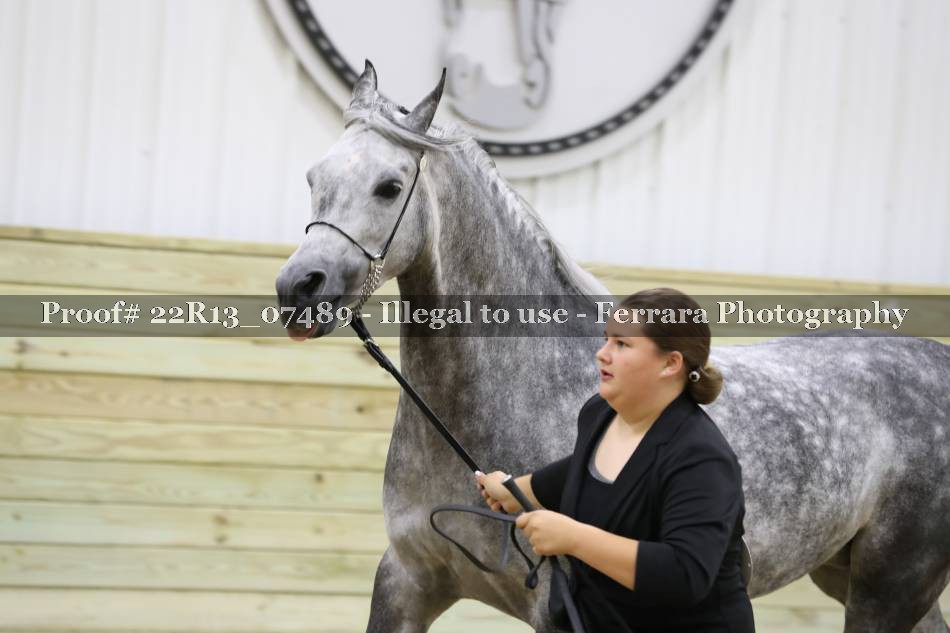 Proof 22R13_07489