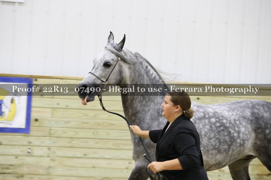 Proof 22R13_07490