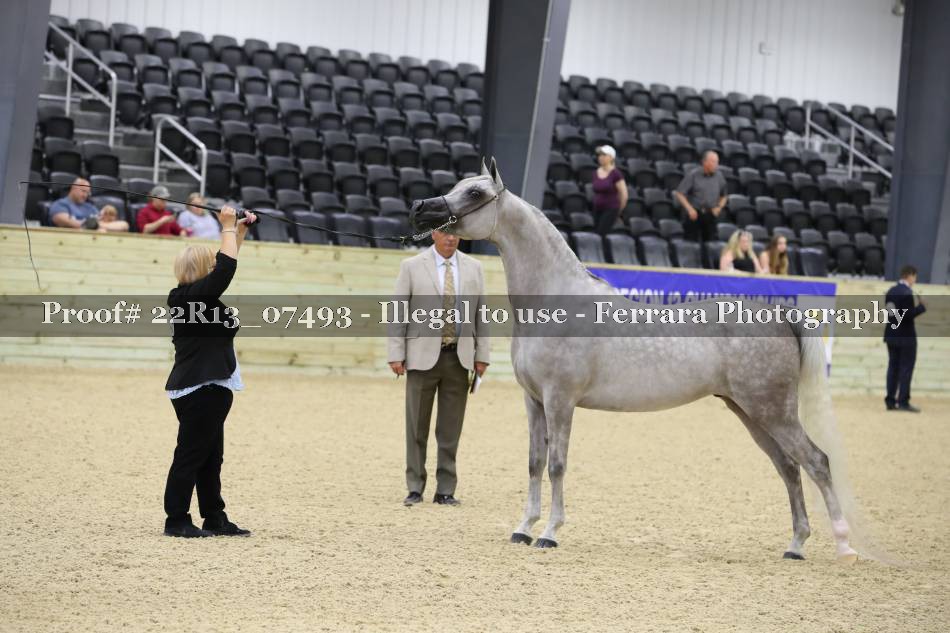 Proof 22R13_07493