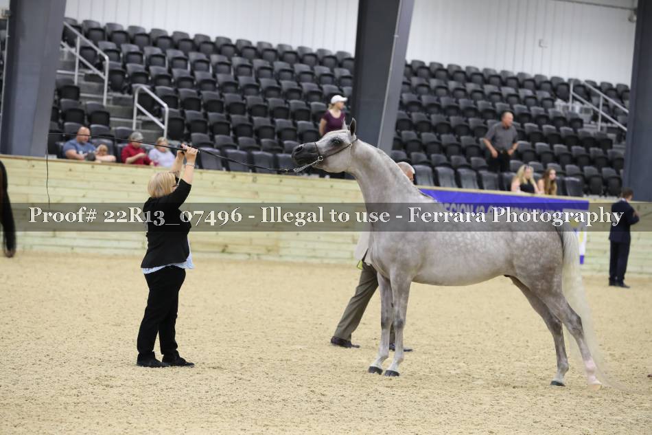 Proof 22R13_07496