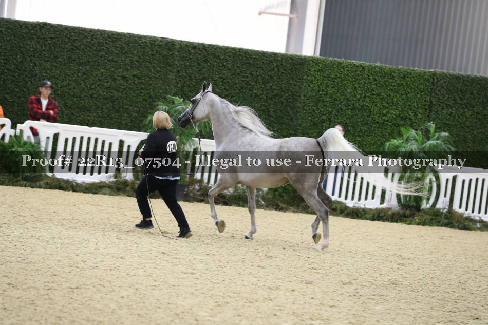 Proof 22R13_07504