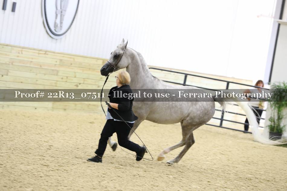 Proof 22R13_07511