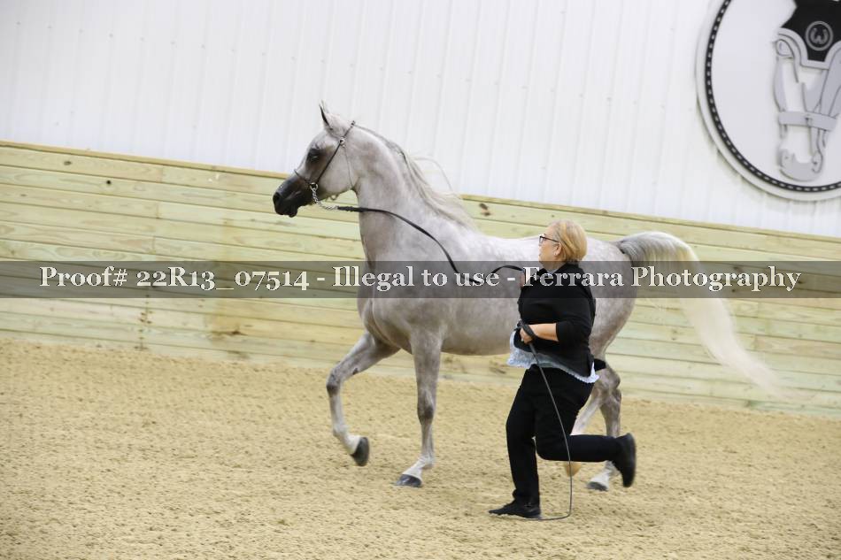 Proof 22R13_07514