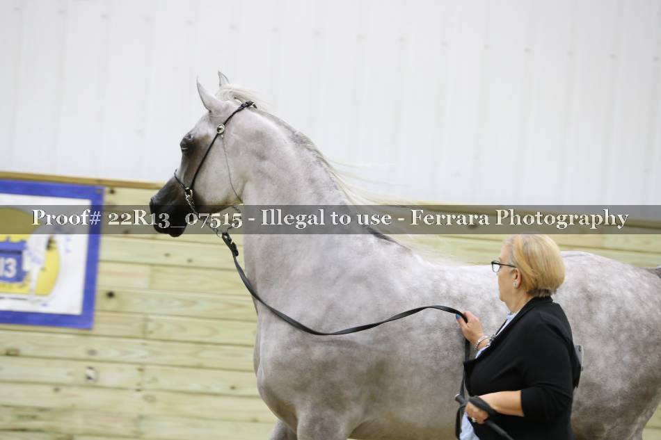 Proof 22R13_07515