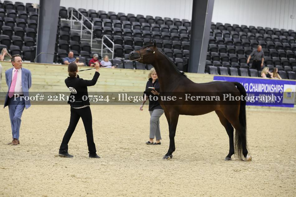 Proof 22R13_07524