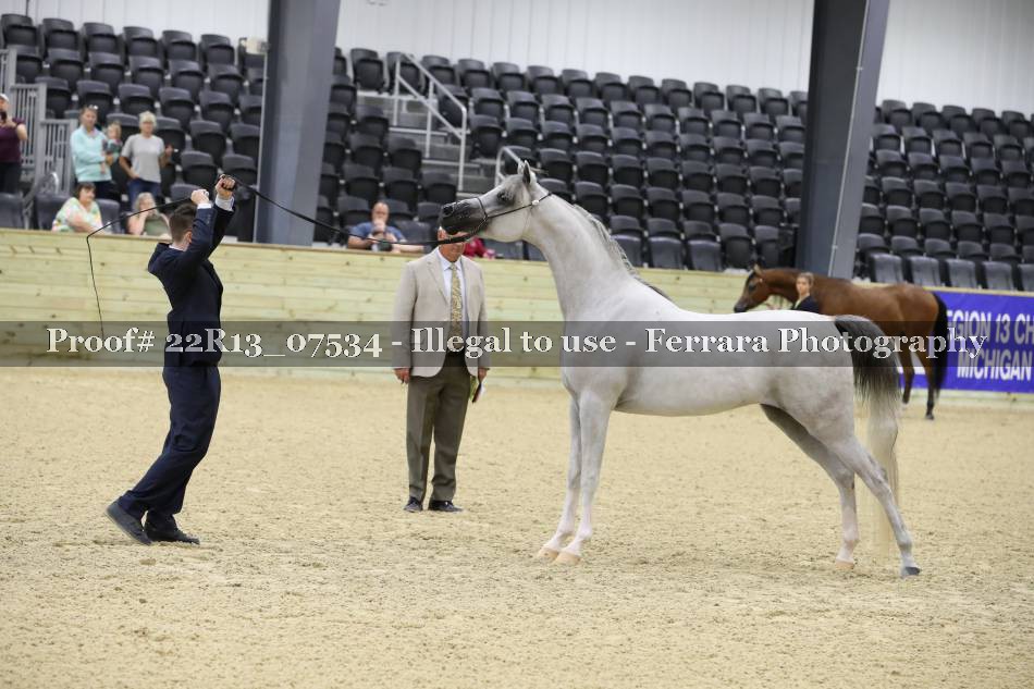 Proof 22R13_07534