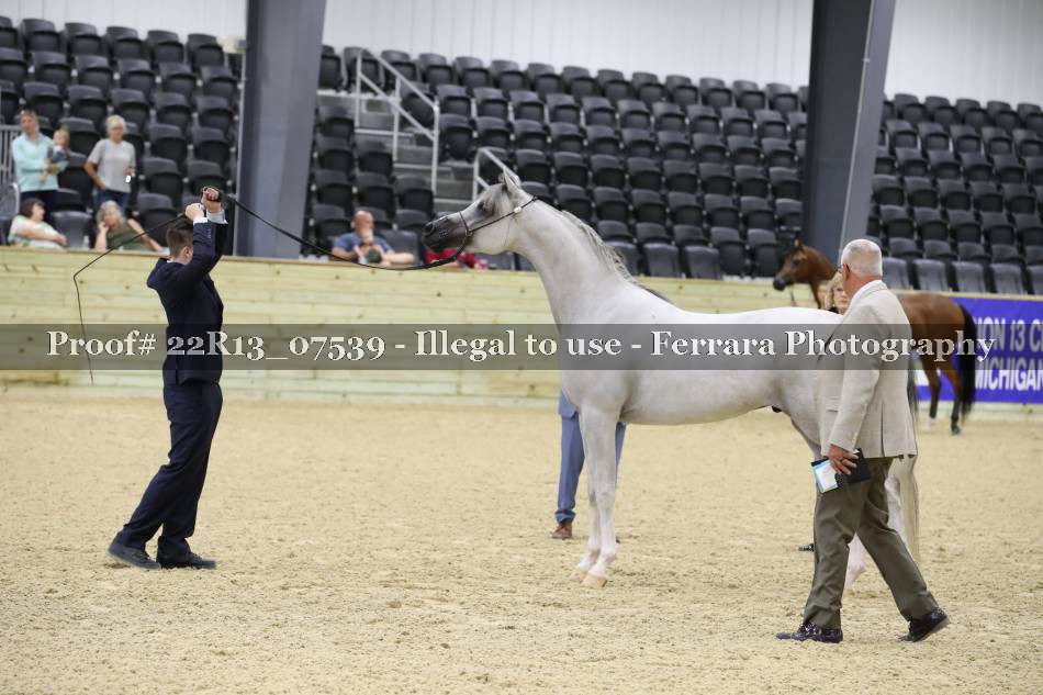 Proof 22R13_07539
